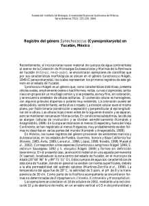 Registro del g&eacute;nero Synechococcus - E-journal