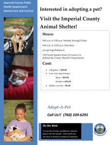 Visit the Imperial County Animal Shelter!