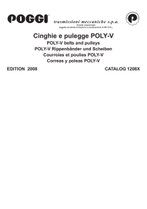 Cinghie e pulegge Poly-V - Poggi Trasmissioni Meccaniche Spa