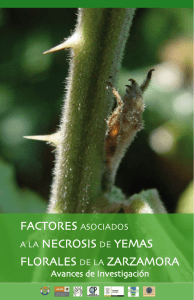 factores asociados a la necrosis de yemas florales de la