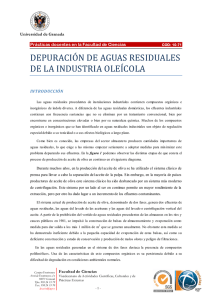 DEPURACIÓN DE AGUAS RESIDUALES DE LA INDUSTRIA