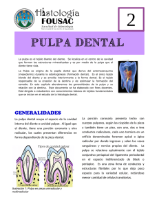 PULPA DENTAL - Apoyo para la Fac. de Odontología – USAC