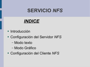 SERVICIO NFS
