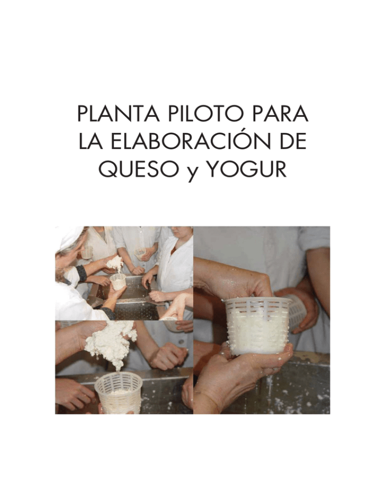 PLANTA PILOTO PARA LA ELABORACI N DE QUESO Y YOGUR