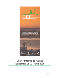 Informe de avance Noviembre 2015 - Junio 2016