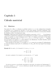 Capítulo 5 Cálculo matricial