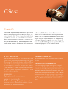 Cólera - PAHO/WHO