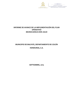 informe de avance de la implementación del plan operativo