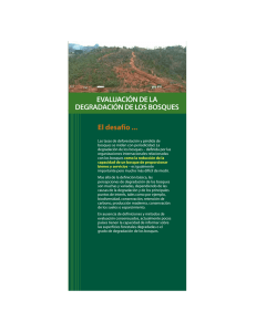 Evaluación de la degradación de los bosques