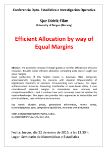 Efficient Allocation by way of Equal Margins