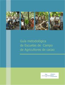 Guía metodológica de Escuelas de Campo de Agricultores de cacao