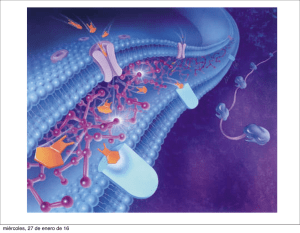 15-16 10 membranas bioloÌ gicas
