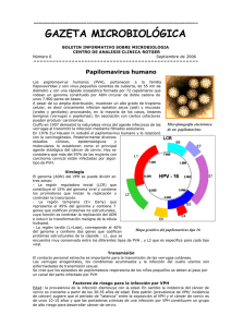 Gaceta Microbiológica (nº6). Papilomavirus.