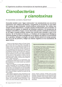 Leer PDF - Uruguay Ciencia