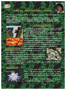 flora del area protegida copahue - Caviahue