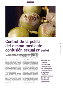 Control de la polilla del racimo mediante confusión sexual (3ª parte)