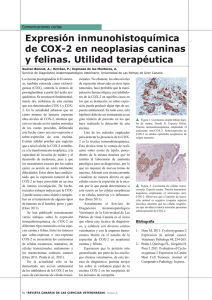 Expresión inmunohistoquímica de COX-2 en neoplasias