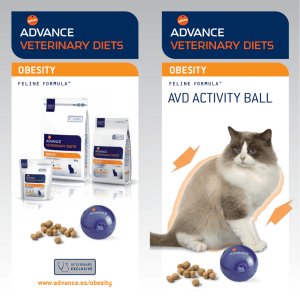 avd activity ball - Affinity Petcare