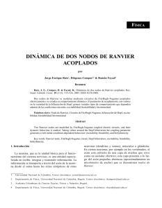 dinámica de dos nodos de ranvier acoplados