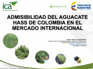 Admisibilidad del Aguacate Hass de Colombia en el Mercado