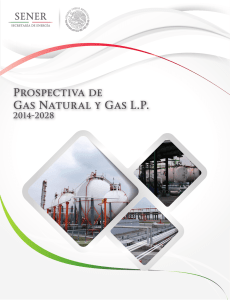 Prospectiva de Gas Natural y Gas LP