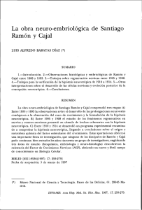La obra neuro-embriológica de Santiago Ramón y Cajal