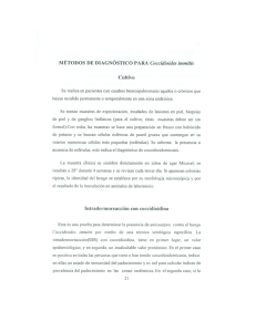 Page 1 MÉTODOS DE DIAGNÓSTICO PARA Coccidioides immitis