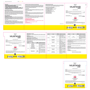 Mustang_x5Ltrs_AR_FOLLETO_FTE NEGRO AMARILLO P199C