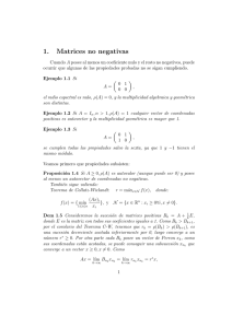 Matrices no Negativas