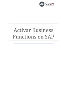 Activar Business Functions en SAP