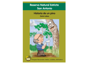 Historia de un pino - Folklore Tradiciones
