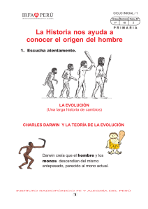 evolución - IRFA PERU