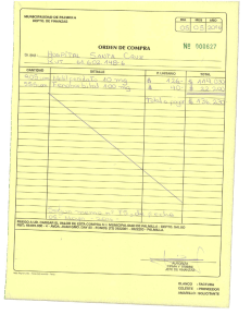 Page 1 MUNICIPALIDAD DE PALMILLA DEPTO. DE FINANZAS