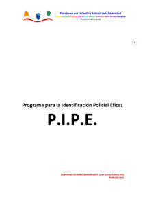Programa para la Identificación Policial Eficaz (PIPE)