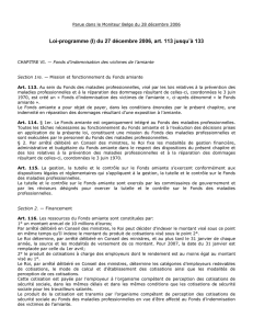 De programmawet (I) van 27 december 2006, zoals verschenen in
