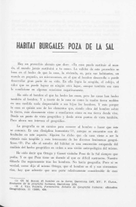 NABITAT BURGALES: POZA DE LA SAL