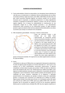 ELEMENTOS EXTRACROMOSÓMICOS 1) Teoría endosimbiótica