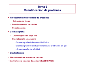Cuantificacion de proteinas farmacia
