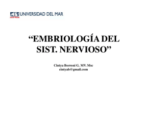 embriología del sist. nervioso
