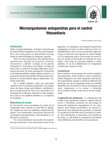 Microorganismos antagonistas para el control fitosanitario