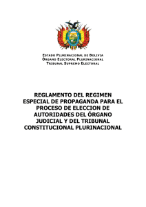 reglamento del regimen especial de propaganda para el proceso de