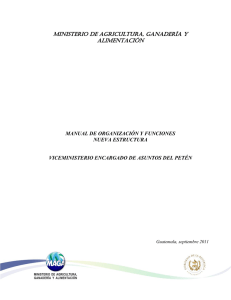 Manual del Viceministerio de Asuntos de Petén