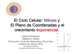 El Ciclo Celular: Mitosis y El Plano de Coordenadas y el crecimiento