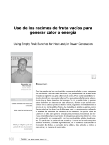 Uso de los racimos de fruta vacíos para generar calor