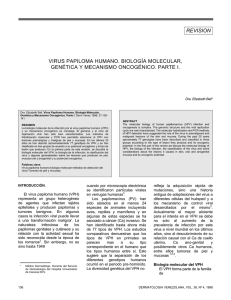 revision virus papiloma humano. biología