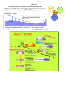DIAGÉNESIS Los procesos diagenéticos comienzan