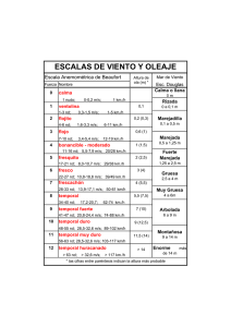 ESCALAS DE VIENTO Y OLEAJE