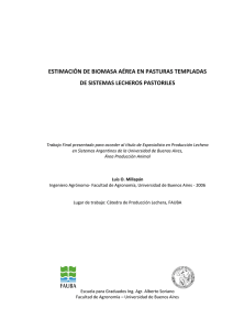 View the PDF document - Universidad de Buenos Aires