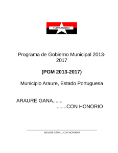 Programa de Gobierno Municipal 2013- 2017 (PGM 2013