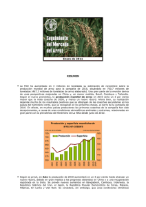 Enero de 2011 Producción y superficie mundiales de arroz en cáscara